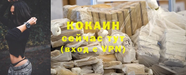 дживик Ладушкин