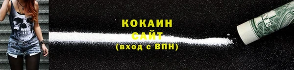 дживик Ладушкин