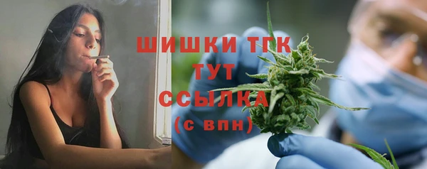 дживик Ладушкин