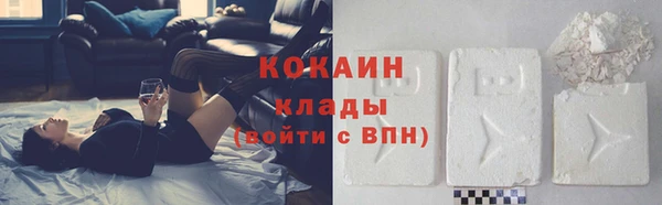 трава Лабытнанги