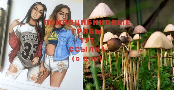 трава Лабытнанги