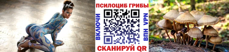 Галлюциногенные грибы GOLDEN TEACHER  Купить  Алексеевка 