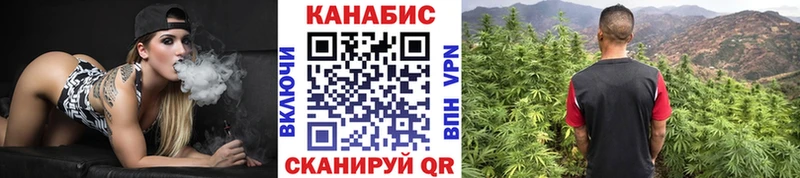 Марихуана сатива Алексеевка